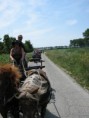 /album/menrit-04-06-2011/zeeuwse-menrit-juni-2011-041-jpg/